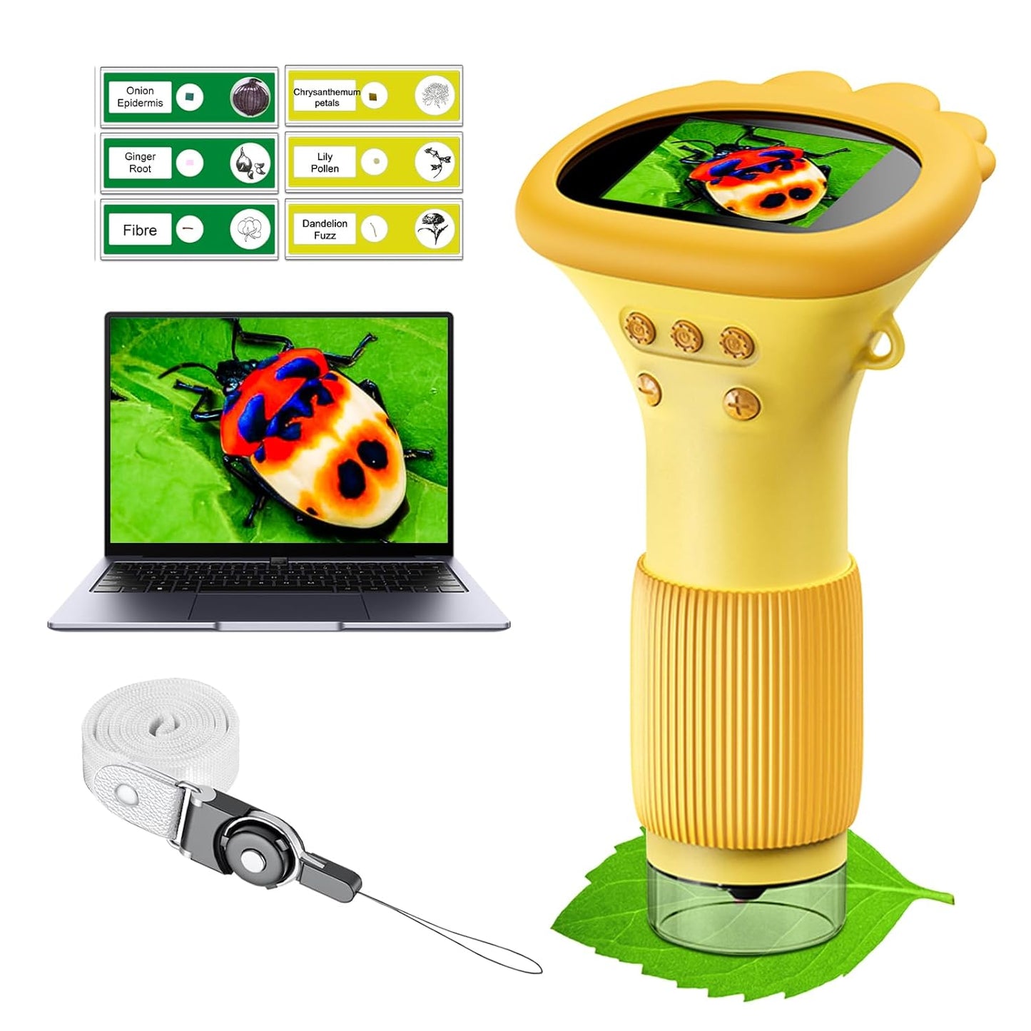 Premium Kids Portable 1000X Pocket Microscope- Kooki kids™