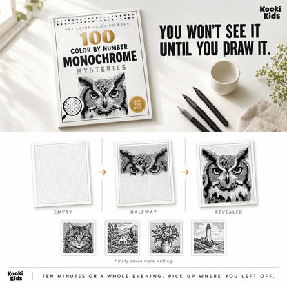 100 Color by Number Monochrome Mysteries